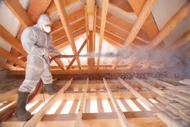 Best Insulation Removal  in Primera, TX