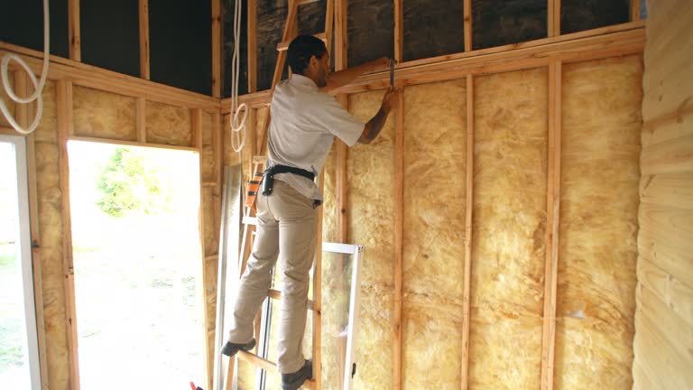 Best Blown-In Insulation  in Primera, TX